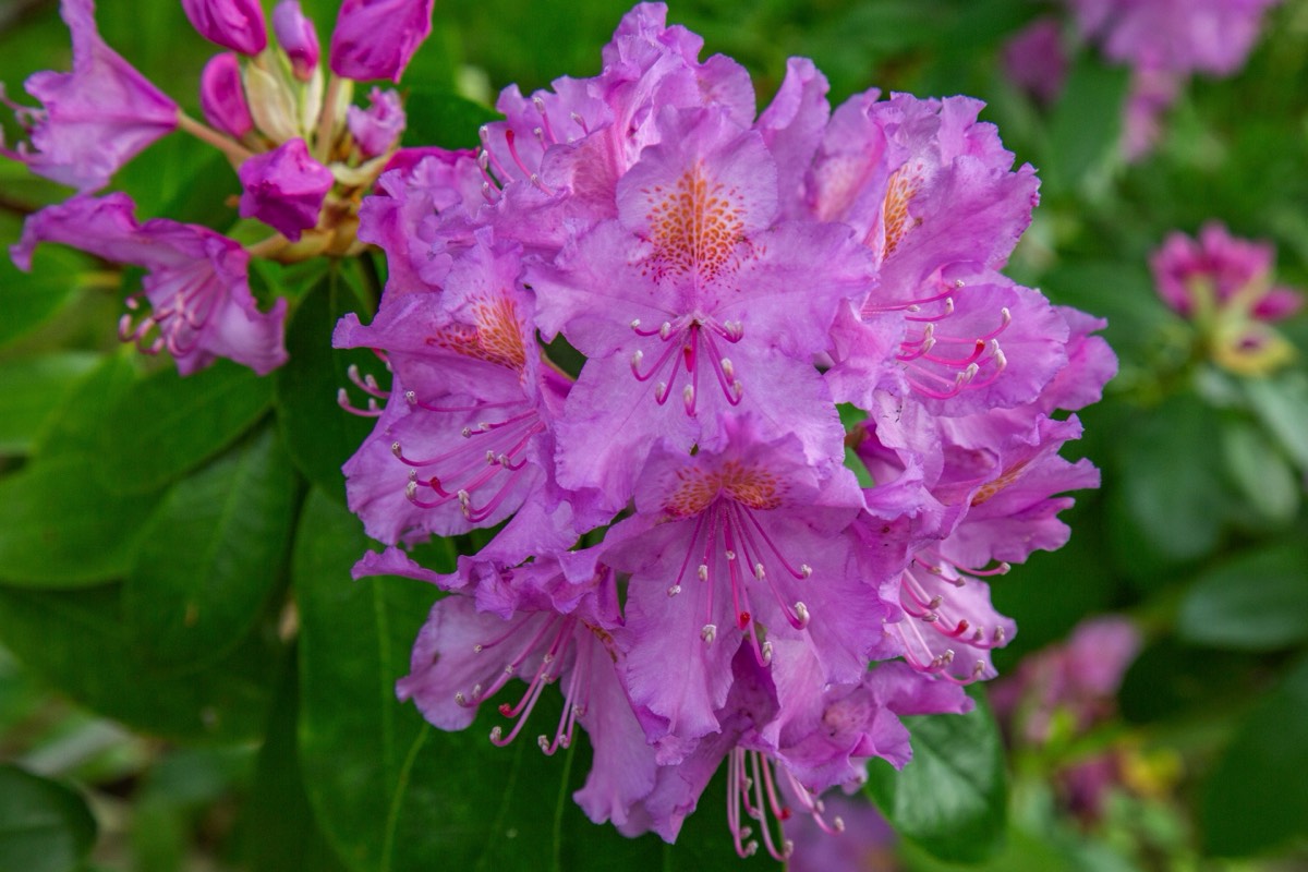 Stacks Image 4485112