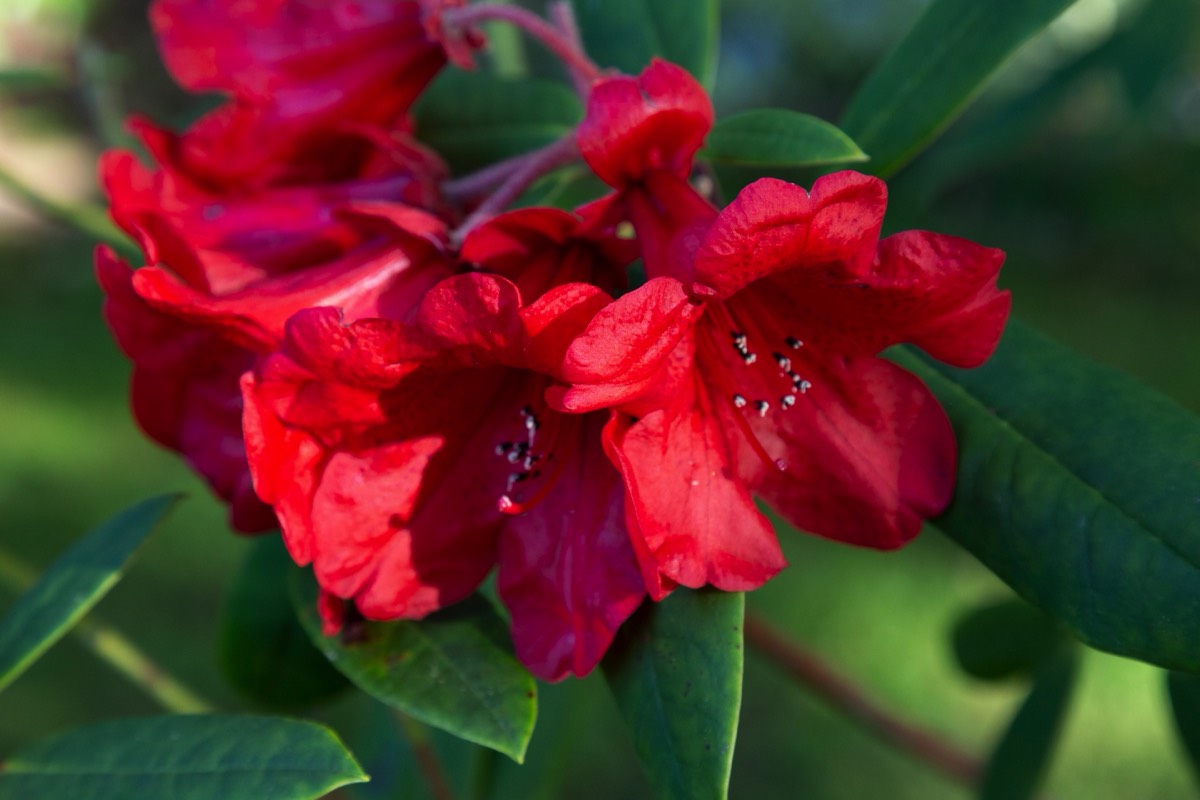 Stacks Image 4485092